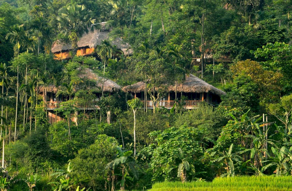 Góc trốn nắng lý tưởng